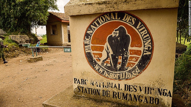 Oil permits up for auction in Congo's Virunga park, putting endangered gorillas at risk