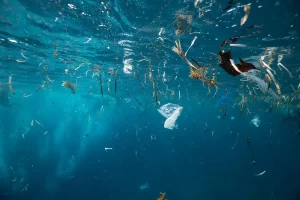 Plastic in the Depths: how pollution took over our oceans